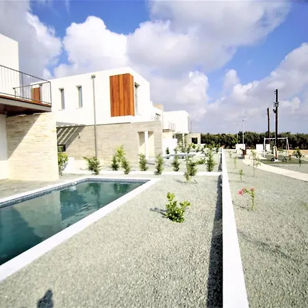 Modern Petridia 3 *